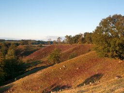 IMGP3566-Dollerup-Bakker